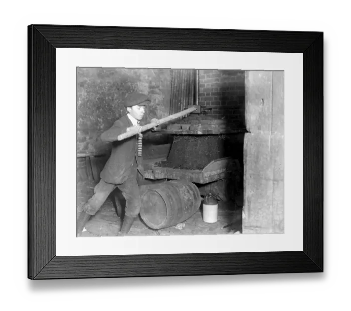 Framed Print : Cider Making in Devonshire. The old fashioned hand press. 5 November 1922 Framed Print : Cider Making in Devonshire. The old fashioned hand press. 5 November 1922