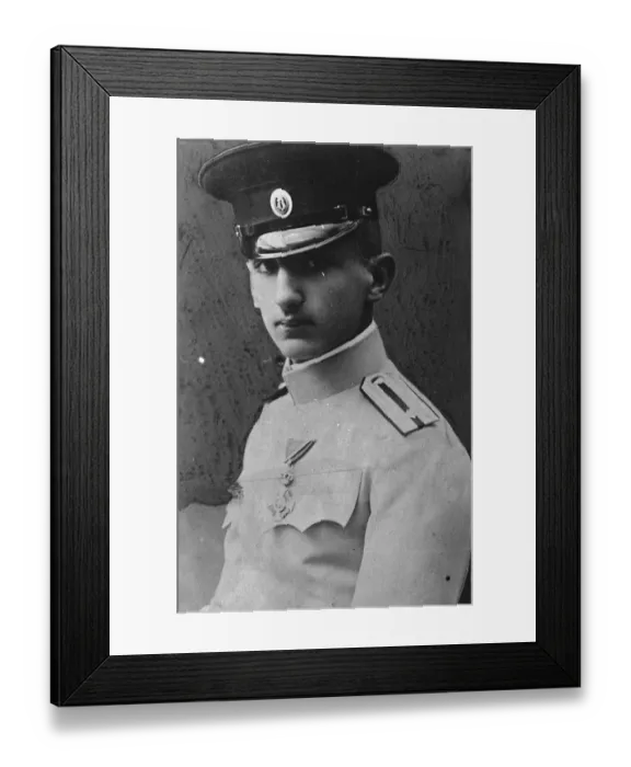 Framed Print : Prince alarms Serbian court circles. It is reported that alarm has been created Framed Print : Prince alarms Serbian court circles. It is reported that alarm has been created