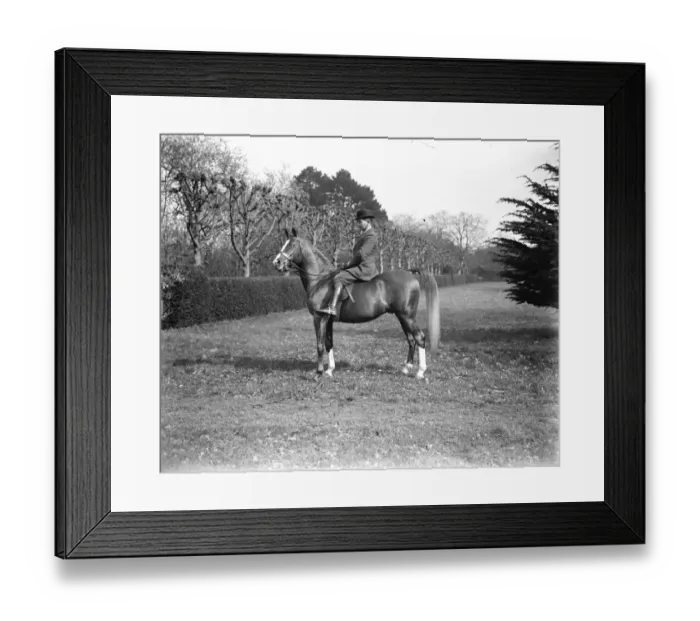 Framed Print : Lady Wentworths Arab Thouroughbreds Crabbet Park Stud, a horse breeding farm Framed Print : Lady Wentworths Arab Thouroughbreds Crabbet Park Stud, a horse breeding farm