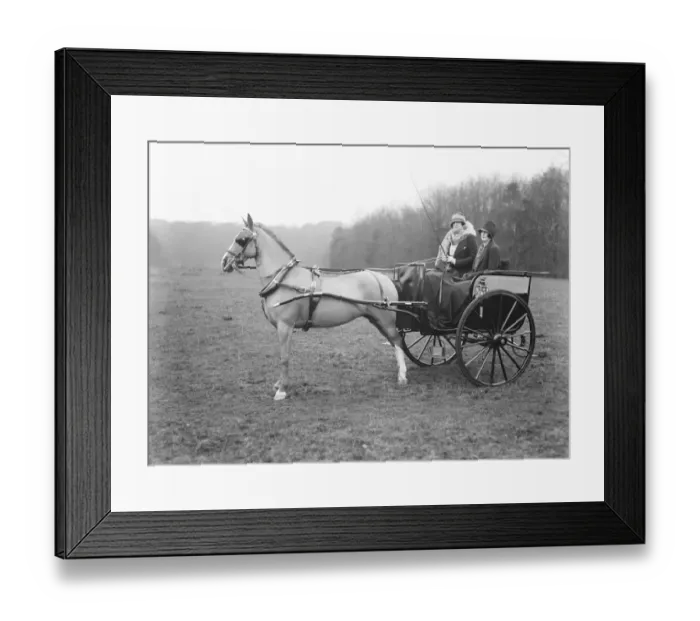 Framed Print : Lady Curzons shooting party at Hackwood Park, near Basingstoke. Lady Curzon Framed Print : Lady Curzons shooting party at Hackwood Park, near Basingstoke. Lady Curzon