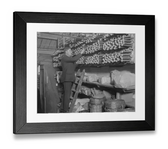 Framed Print : Preparing for the cricket season Essex and all England in new role Charles Albert Framed Print : Preparing for the cricket season Essex and all England in new role Charles Albert