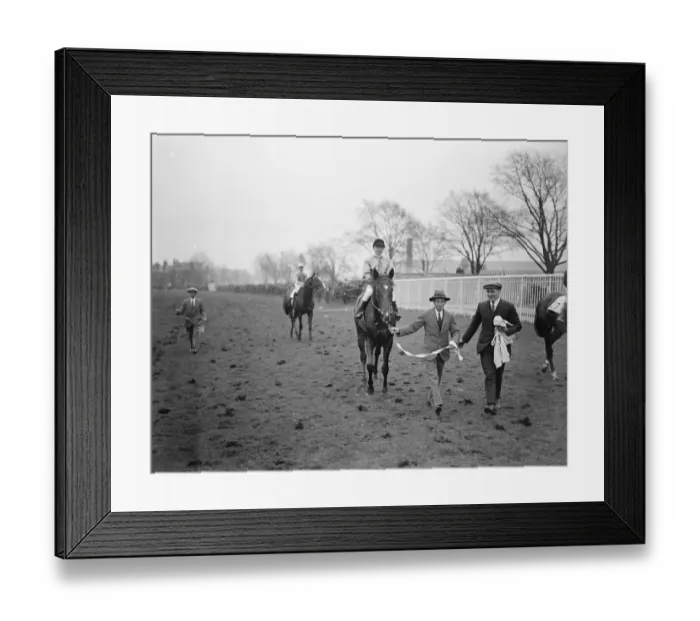 Framed Print : Sir Gallahad wins the Lincolnshire Handicap. Leading in the winner after the race Framed Print : Sir Gallahad wins the Lincolnshire Handicap. Leading in the winner after the race