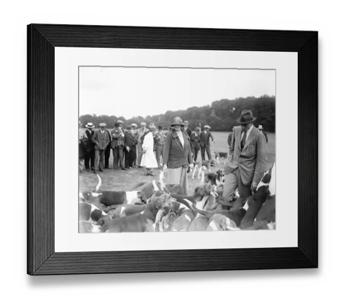 Framed Print : Goodwood Week Polo Starts At Cowdray Park, West Sussex, Lady Burrel and the hounds Framed Print : Goodwood Week Polo Starts At Cowdray Park, West Sussex, Lady Burrel and the hounds