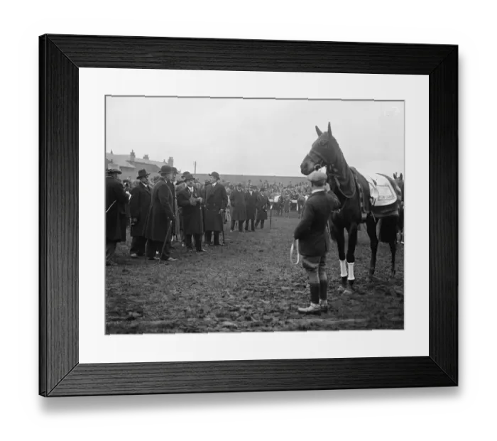 Framed Print : The Grand National at Aintree. In the paddock. 1928 Framed Print : The Grand National at Aintree. In the paddock. 1928