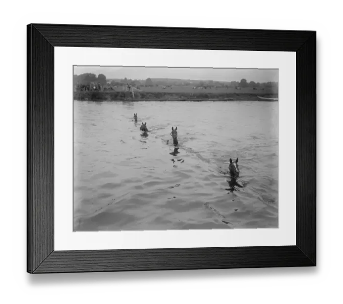 Framed Print : Military operations by the Aldershot command. The Invasion of Hampshire. Troop Framed Print : Military operations by the Aldershot command. The Invasion of Hampshire. Troop