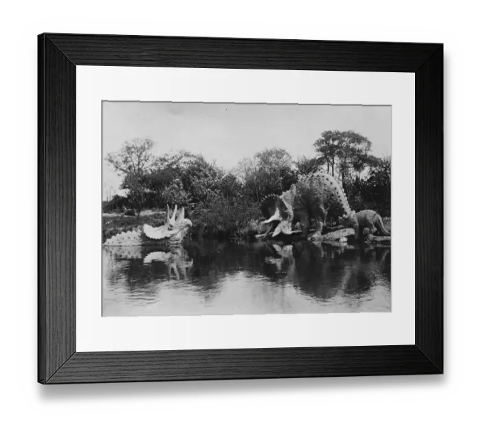 Framed Print : A pair of strange creature of the species known as triceratops prossus photographed Framed Print : A pair of strange creature of the species known as triceratops prossus photographed