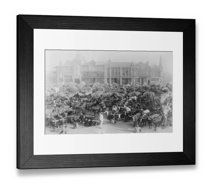 Framed Print : Johannesburg in South Africa 11 March 1922