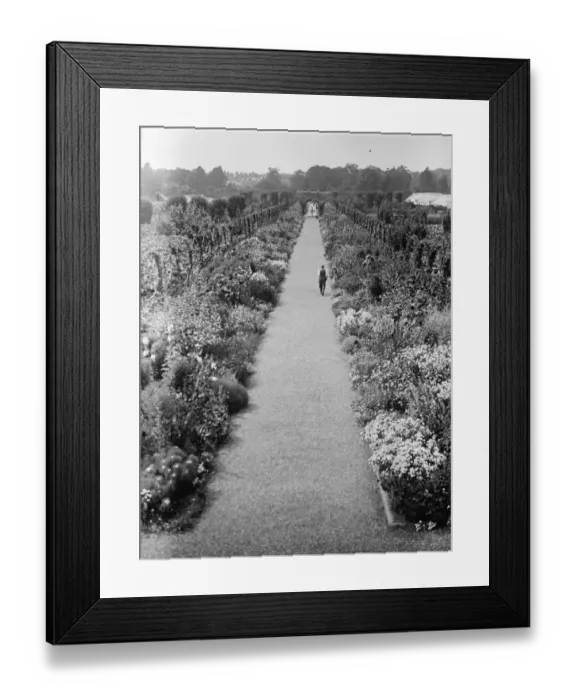 Framed Print : The gardens at the Kings country house, Sandringham, Norfolk. 22 August 1929 Framed Print : The gardens at the Kings country house, Sandringham, Norfolk. 22 August 1929