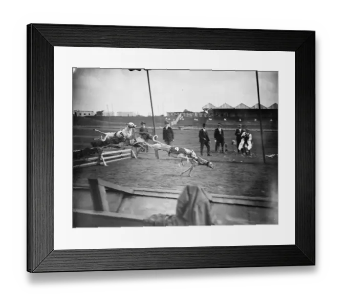 Framed Print : Preparing for the opening of the new greyhound racing track at Harringay. Taking