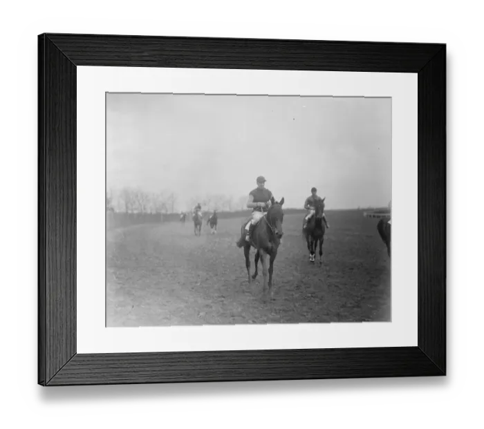 Framed Print : Noce D Argent with F Wootton up 29 February 1924 Framed Print : Noce D Argent with F Wootton up 29 February 1924