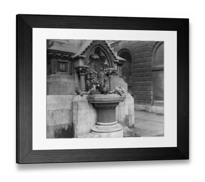 Framed Print : Art and nature meet in a city idyll Pigeons cluster about the antique basin of Framed Print : Art and nature meet in a city idyll Pigeons cluster about the antique basin of