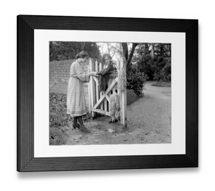 Framed Print : Home dyeing and weaving industry at Edgware. Drying the wool on the gate after washing