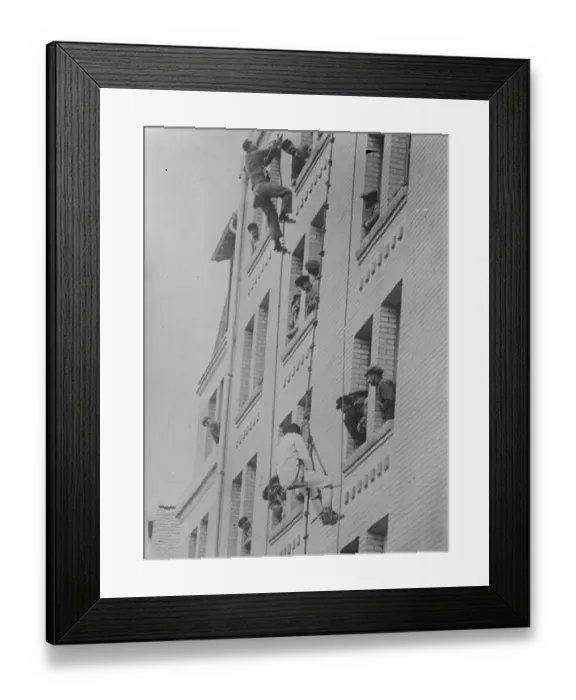 Framed Print : Monkey like climbing with monkey apparatus. The new apparatus and the old outfit Framed Print : Monkey like climbing with monkey apparatus. The new apparatus and the old outfit