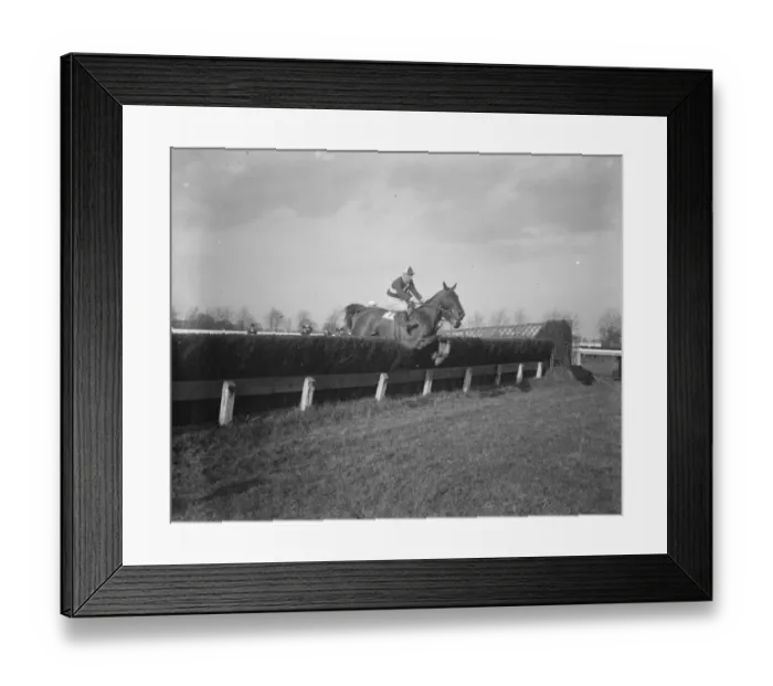 Framed Print : Grand National favourite wins at Gatwick. Silvo, the nominal favourite for Framed Print : Grand National favourite wins at Gatwick. Silvo, the nominal favourite for
