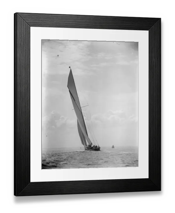 Framed Print : Cowes week. The Shamrock. 1 August 1925 Framed Print : Cowes week. The Shamrock. 1 August 1925