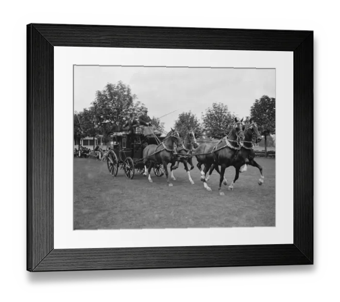 Framed Print : Ranelagh polo pony show. Mr W A Burrows wining four in hand. 1926 Framed Print : Ranelagh polo pony show. Mr W A Burrows wining four in hand. 1926