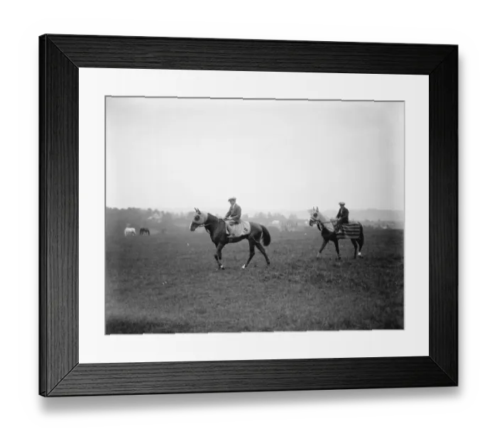 Framed Print : Derby horses at Epsom. Knockando Mr Gilpins second string for the Derby Framed Print : Derby horses at Epsom. Knockando Mr Gilpins second string for the Derby