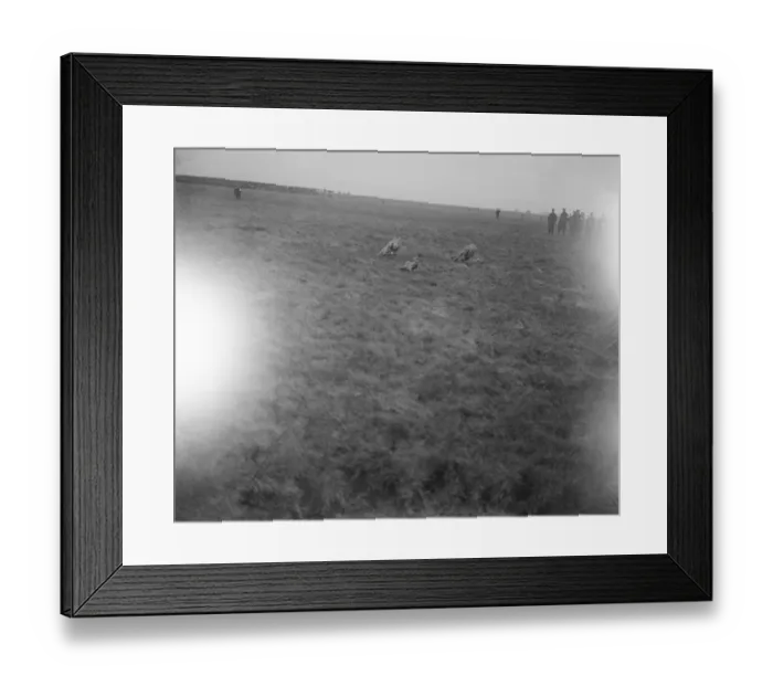Framed Print : The Waterloo Cup at Altcar Three coursing hounds race for the hare 1921