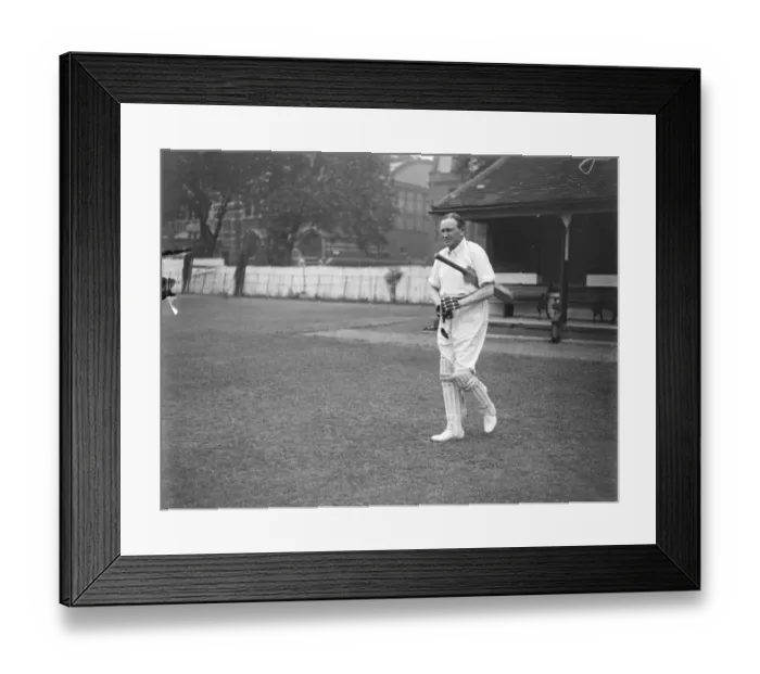 Framed Print : Peers and MPs at Cricket The House of Commons and the House of Lords opposed Westminster Framed Print : Peers and MPs at Cricket The House of Commons and the House of Lords opposed Westminster