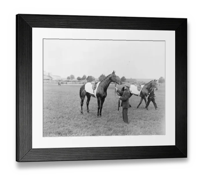 Framed Print : Hurstwood racehorse 1924 Framed Print : Hurstwood racehorse 1924