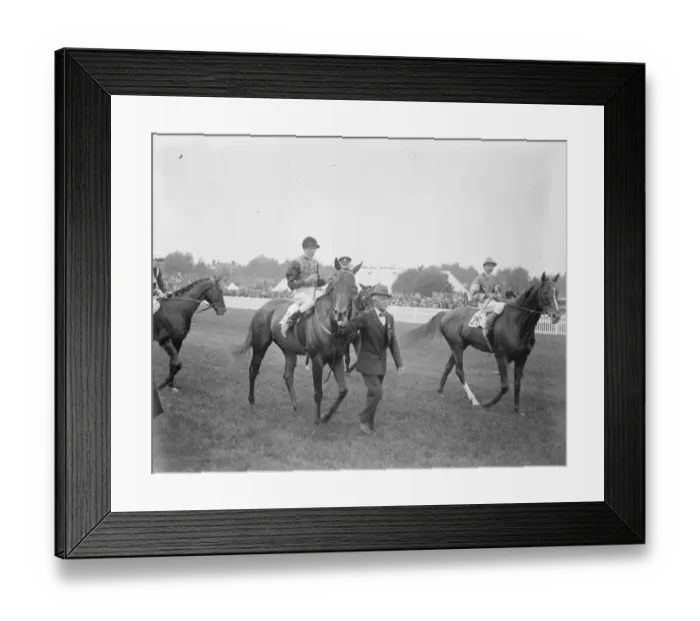 Framed Print : The Kings horse wins the Royal Hunt Cup at Ascot. Leading in the Kings horse Framed Print : The Kings horse wins the Royal Hunt Cup at Ascot. Leading in the Kings horse