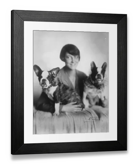 Framed Print : Ascot winnings invested in dog flesh. Mrs Peters, wife of the well known continental trainer Framed Print : Ascot winnings invested in dog flesh. Mrs Peters, wife of the well known continental trainer