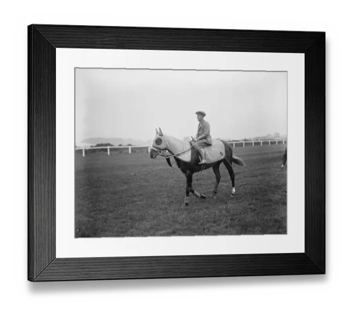 Framed Print : Trial gallop of Town Guard. Archibald riding Town Guard on exercises at Epsom
