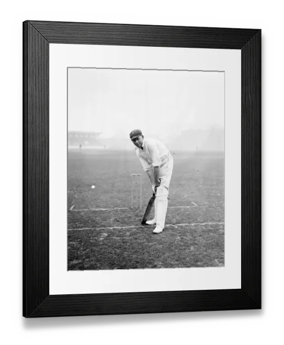 Framed Print : South African cricketers. Cec Dixon ( Cecil Donovan Dixon ) 1924 Framed Print : South African cricketers. Cec Dixon ( Cecil Donovan Dixon ) 1924