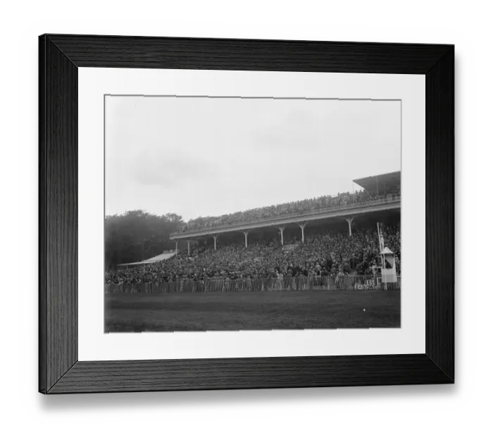 Framed Print : Picture of Goodwood specially taken for Mr Hubbard. The crowded spectator stands Framed Print : Picture of Goodwood specially taken for Mr Hubbard. The crowded spectator stands