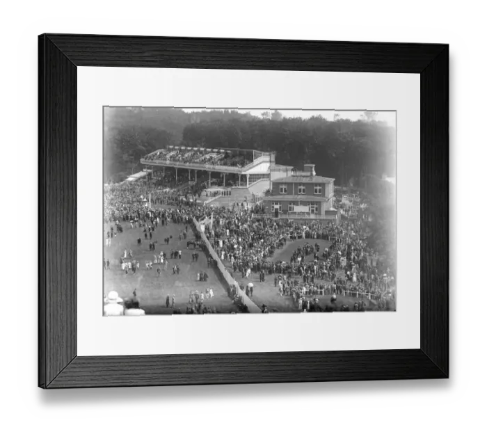 Framed Print : Goodwood races View of the scene as the horses approached the winning post in Framed Print : Goodwood races View of the scene as the horses approached the winning post in