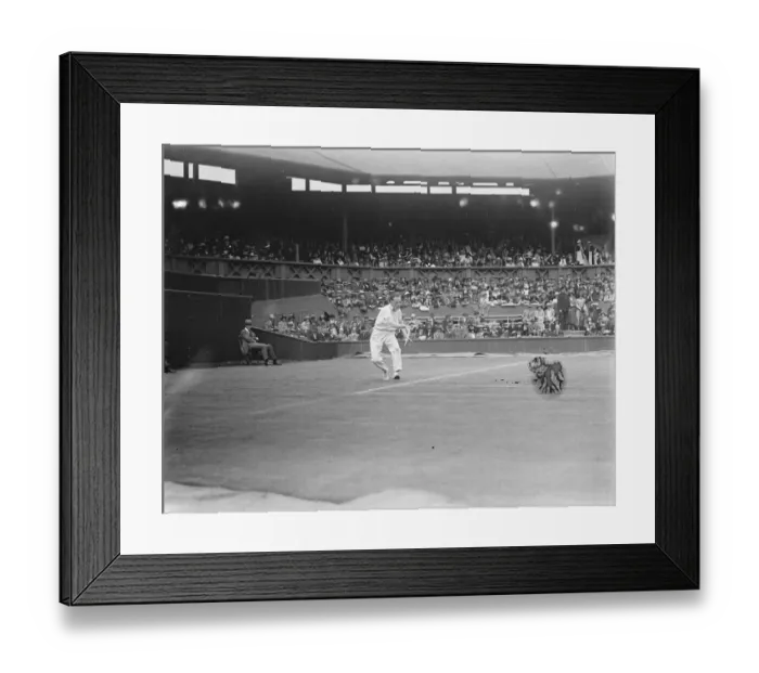 Framed Print : Wimbeldon Lawn Tennis B I C Northon plays J D P Wheatley June 1923 Framed Print : Wimbeldon Lawn Tennis B I C Northon plays J D P Wheatley June 1923
