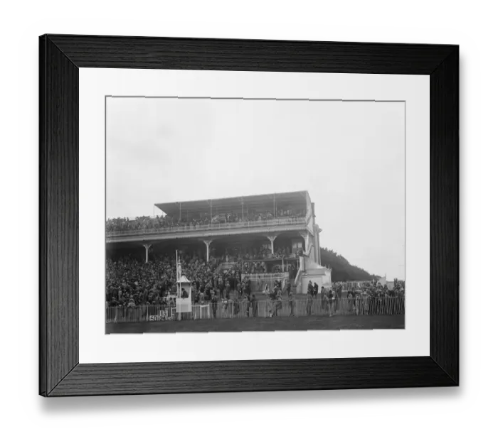 Framed Print : Picture of Goodwood specially taken for Mr Hubbard. The crowded spectator stands Framed Print : Picture of Goodwood specially taken for Mr Hubbard. The crowded spectator stands