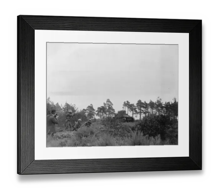 Framed Print : Military operations at Fox Hill, Aldershot. Cavalry versus tanks. A tank in Framed Print : Military operations at Fox Hill, Aldershot. Cavalry versus tanks. A tank in