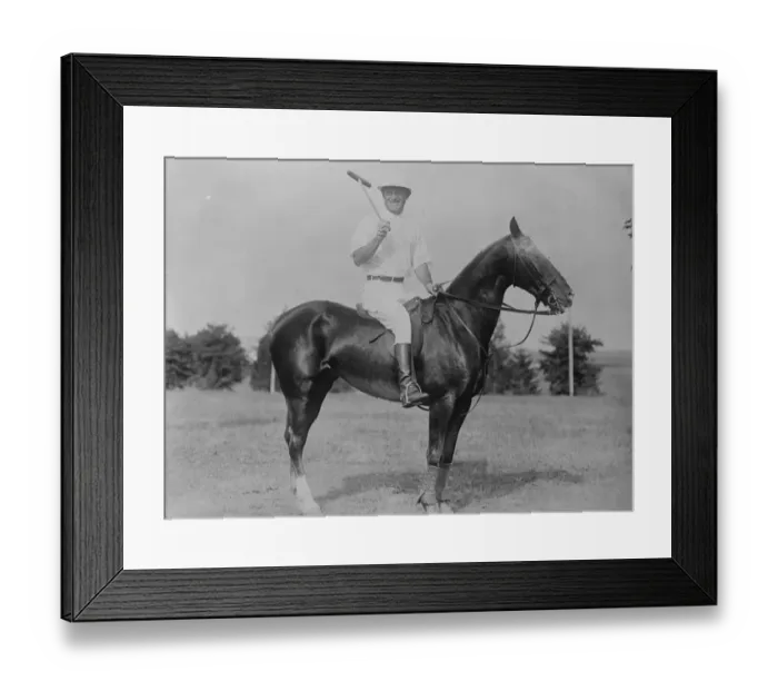 Framed Print : Cinema Star as polo player. Will Rogers is a member of the Meadow Larks Polo Team Framed Print : Cinema Star as polo player. Will Rogers is a member of the Meadow Larks Polo Team