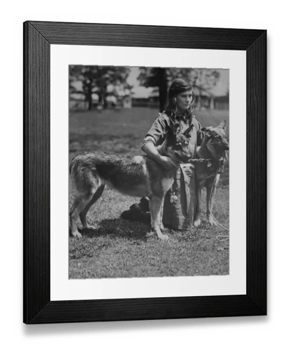 Framed Print : A polo pony from the Prince of Wales. Miss Diana Guest, the daughter of Captain Framed Print : A polo pony from the Prince of Wales. Miss Diana Guest, the daughter of Captain