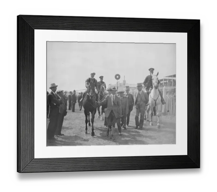 Framed Print : The Coronation Cup race at Epsom. Franklin (s Donoghue up ) being led in after Framed Print : The Coronation Cup race at Epsom. Franklin (s Donoghue up ) being led in after