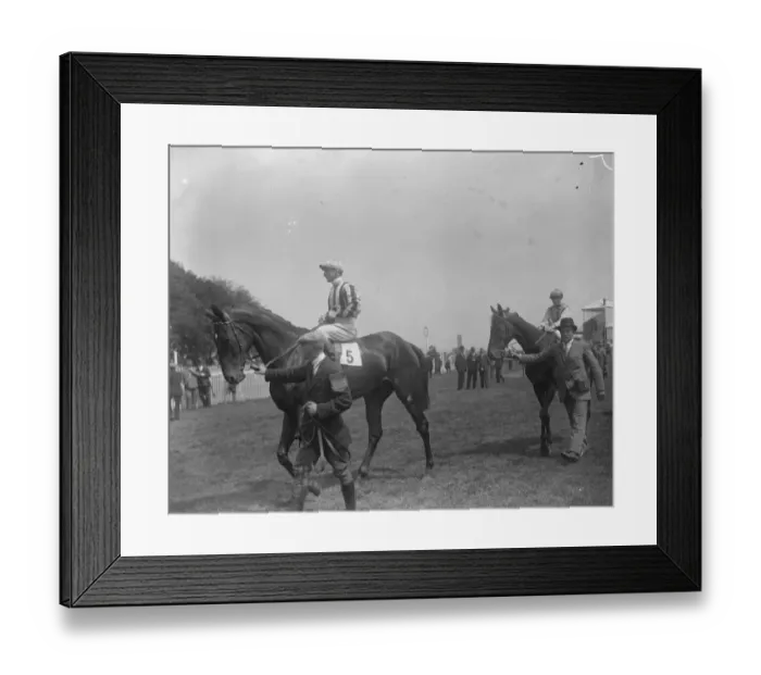 Framed Print : Donoghue Junior makes his bow to the public as a jockey at Salisbury. Steve Framed Print : Donoghue Junior makes his bow to the public as a jockey at Salisbury. Steve