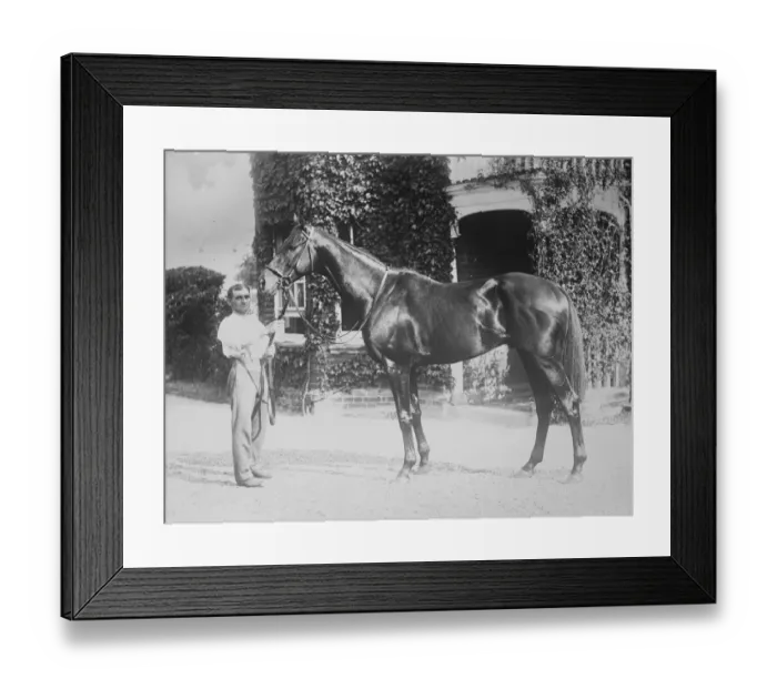Framed Print : Englands champion stayer for the argentine Silurian, Englands champion stayer Framed Print : Englands champion stayer for the argentine Silurian, Englands champion stayer
