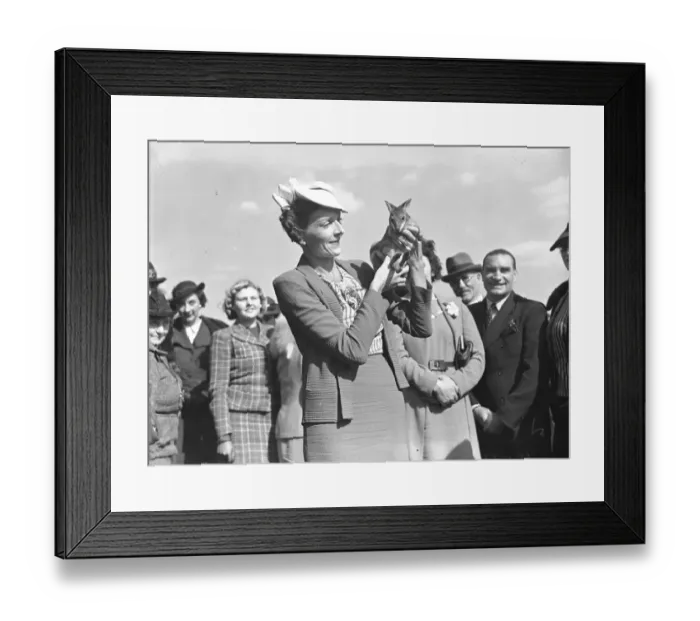 Framed Print : Polo at the Roehampton Club - Adsdean versus Juggernauts Lady Louis Mountbatten Framed Print : Polo at the Roehampton Club - Adsdean versus Juggernauts Lady Louis Mountbatten