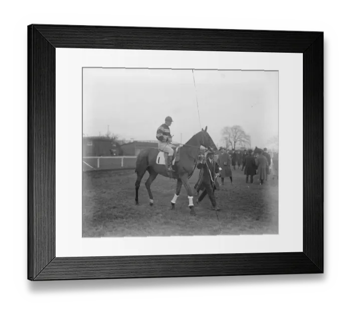 Framed Print : Turkey Buzzard, one of the Grand National candidates. 13 March 1923