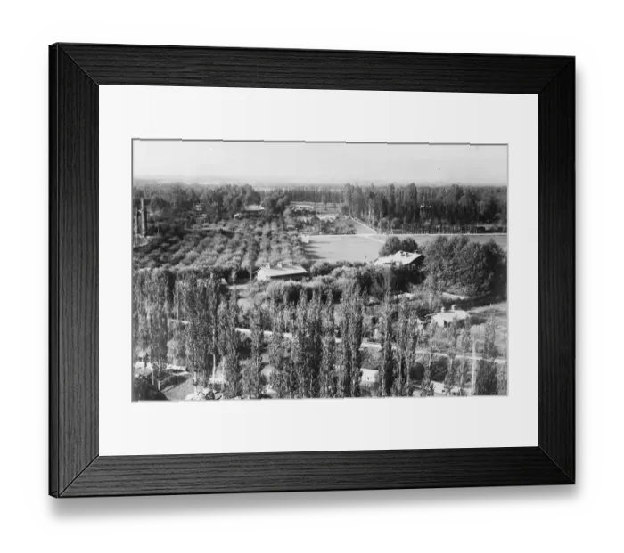 Framed Print : Kashmir, India Takh i Sulaimon overlooking the outskirts of Srinagar, Takht I Sulaimon Framed Print : Kashmir, India Takh i Sulaimon overlooking the outskirts of Srinagar, Takht I Sulaimon