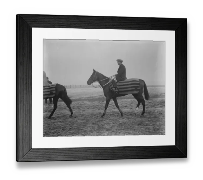 Framed Print : Condover one of Frances hopes for the Lincolnshire handicap photographed at Lincoln Framed Print : Condover one of Frances hopes for the Lincolnshire handicap photographed at Lincoln