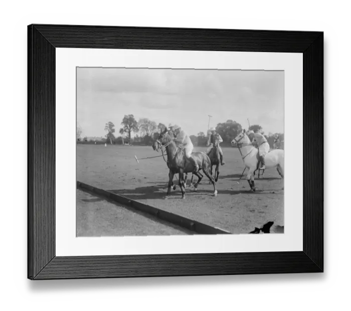 Framed Print : Polo at Ranelagh America versus Ranelagh A tussle for the ball near the boundary 9 Framed Print : Polo at Ranelagh America versus Ranelagh A tussle for the ball near the boundary 9