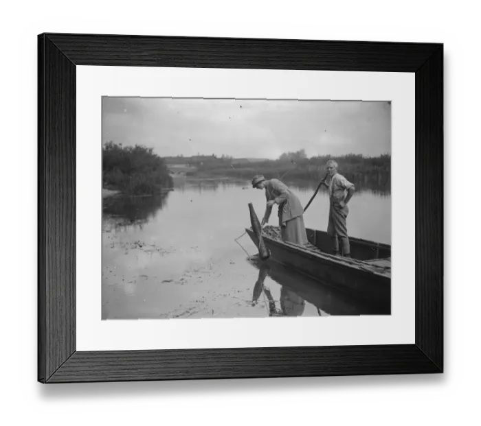 Framed Print : Eel spearing on the Hampshire Avon. 23 June 1923 Framed Print : Eel spearing on the Hampshire Avon. 23 June 1923