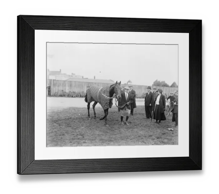 Framed Print : Sansovino racehorse 1924 Framed Print : Sansovino racehorse 1924