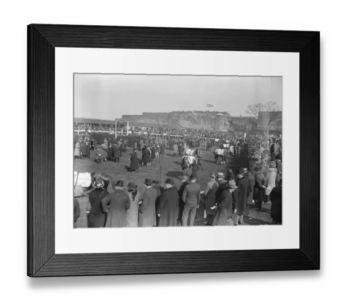 Framed Print : Double Chance wins the Grand National the paddock showing some of the National Framed Print : Double Chance wins the Grand National the paddock showing some of the National