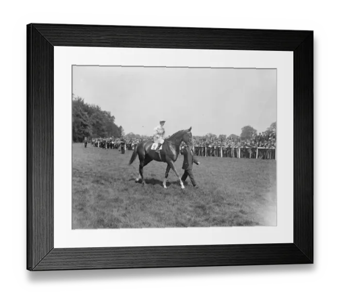 Framed Print : Clochnaben, racehorse withs Donoghue up. 17 May 1924 Framed Print : Clochnaben, racehorse withs Donoghue up. 17 May 1924