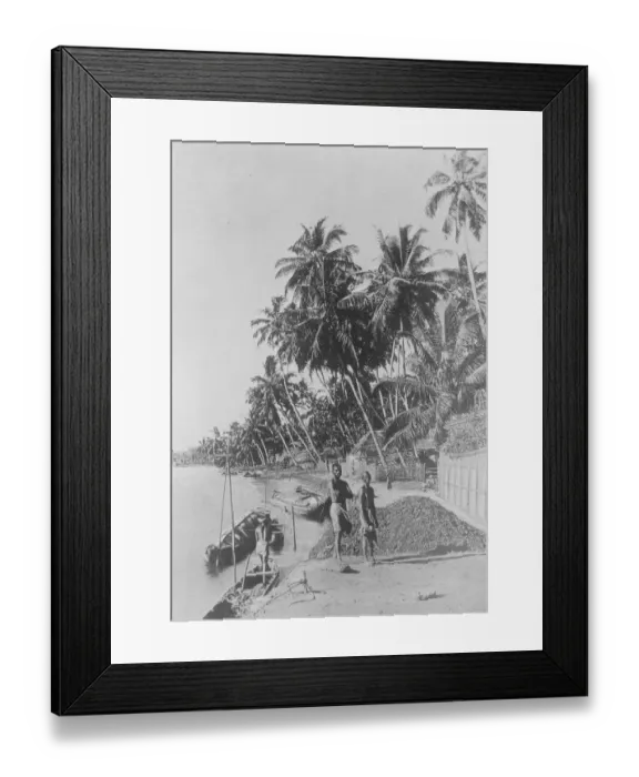 Framed Print : The Moplah Rising in India Grave anxiety has been caused by the development of