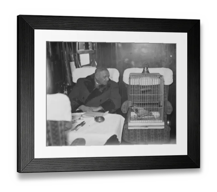 Framed Print : The Maharajah of Nawangar ( Ranji ) with his constant companion, his parrot Joey
