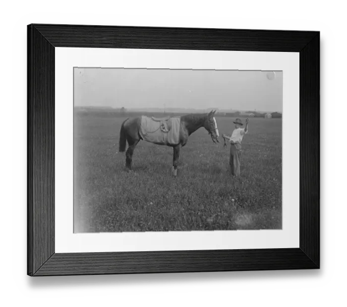 Framed Print : Derby favourite at Epsom. St Louis, at present favourite for the Derby. 30 May 1922 Framed Print : Derby favourite at Epsom. St Louis, at present favourite for the Derby. 30 May 1922